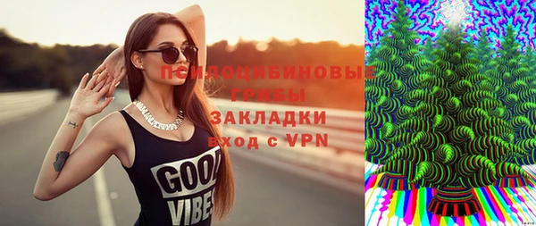 ГАЛЛЮЦИНОГЕННЫЕ ГРИБЫ Сосновый Бор