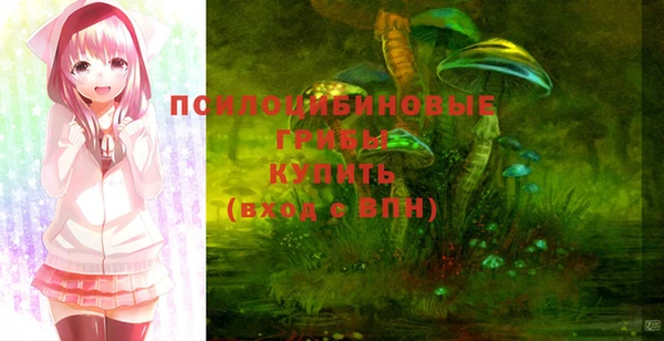 ГАЛЛЮЦИНОГЕННЫЕ ГРИБЫ Сосновый Бор