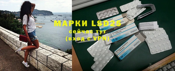 ГАЛЛЮЦИНОГЕННЫЕ ГРИБЫ Сосновый Бор