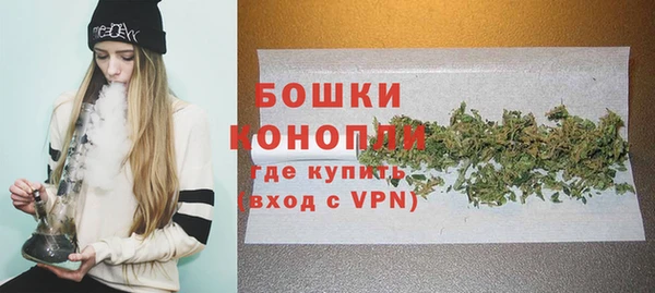 ГАЛЛЮЦИНОГЕННЫЕ ГРИБЫ Сосновый Бор