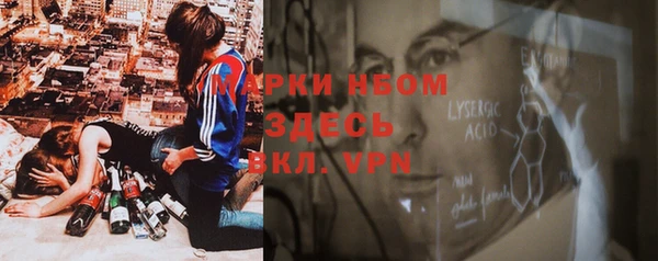 ГАЛЛЮЦИНОГЕННЫЕ ГРИБЫ Сосновый Бор