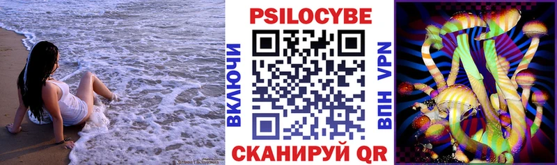 Псилоцибиновые грибы Psilocybe  Купить  Челябинск 